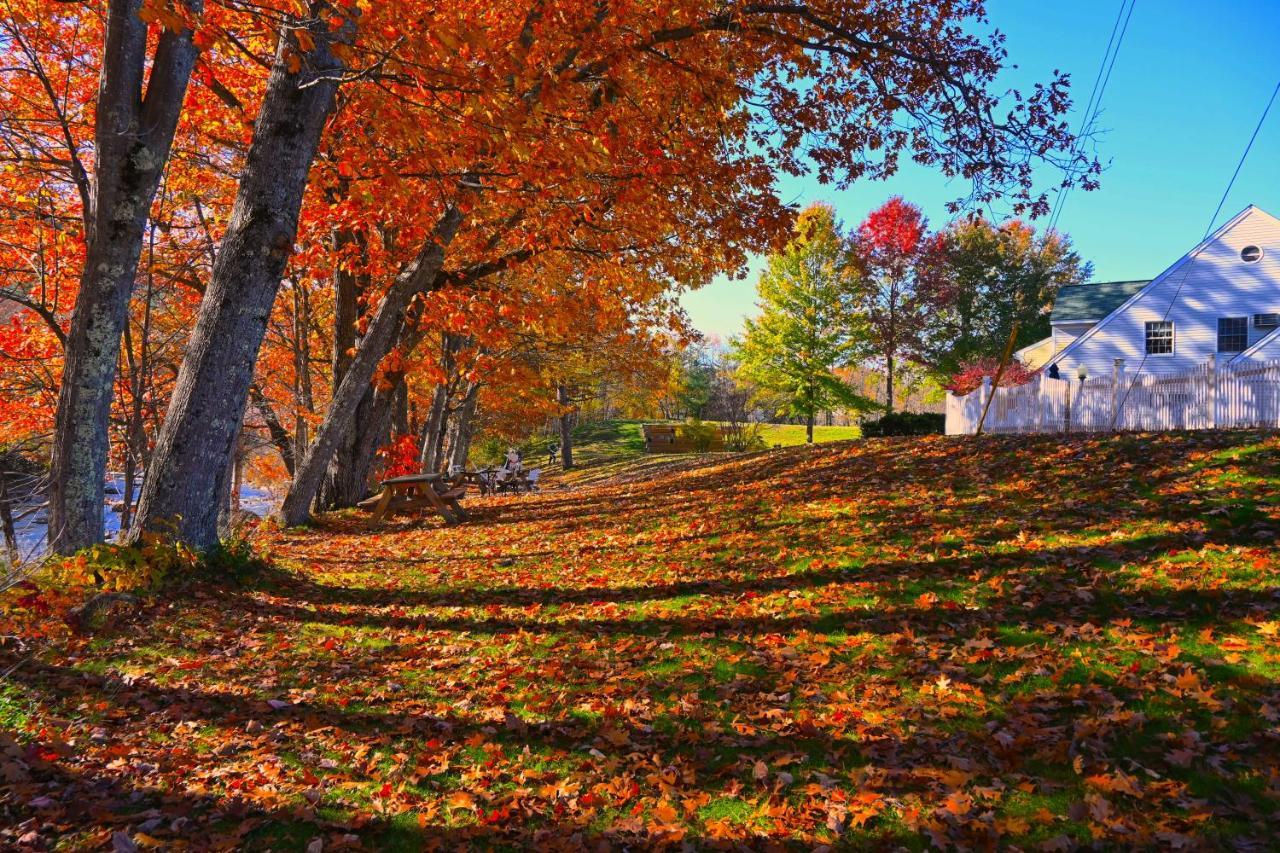 The Lodge At Jackson Village 외부 사진